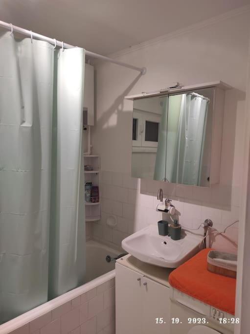 Nina Apartment ซาเกร็บ ภายนอก รูปภาพ